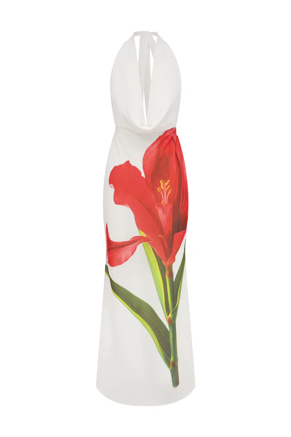 Runaway The Label Jasmina Red Lily Maxi Dress